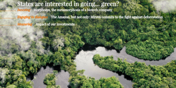 Newsletter cover